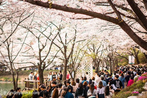 Seokchon Lake Seoul