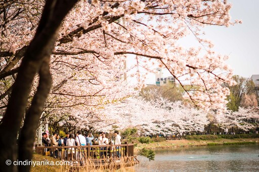 Seokchon Lake Seoul