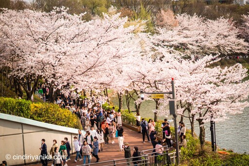 Seokchon Lake Seoul