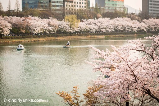Seokchon Lake Seoul