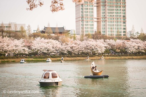 Seokchon Lake Seoul