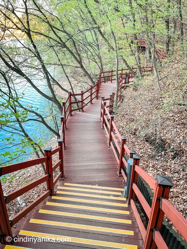 Spring Gwanggyo Lake Park Suwon