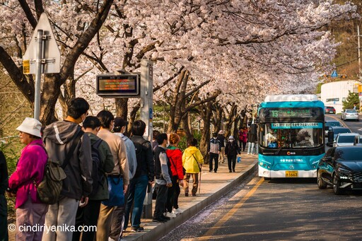 Spring Gwanggyo Lake Park Suwon