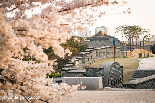 Spring Hwaseong Fortress Suwon