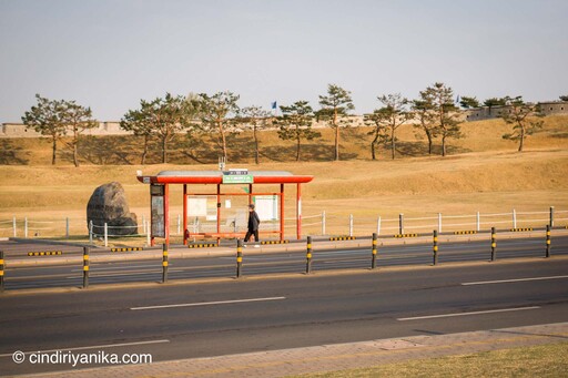 Spring Hwaseong Fortress Suwon