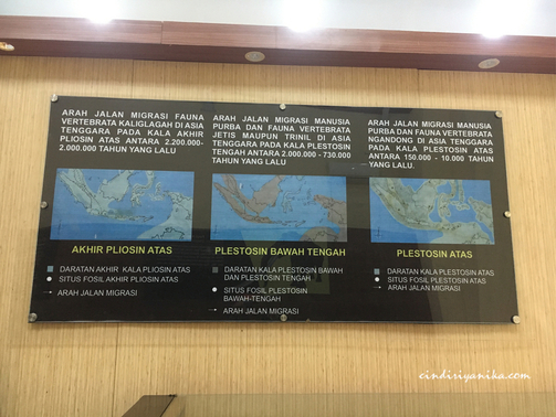 Museum Trinil Ngawi