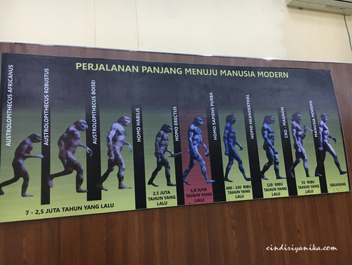 Museum Trinil Ngawi