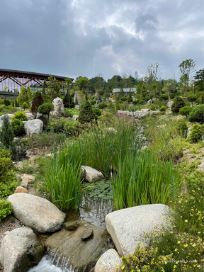 Arboretum Suwon