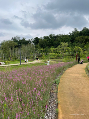 Arboretum Suwon