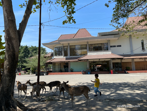 Rusa Sriwedari