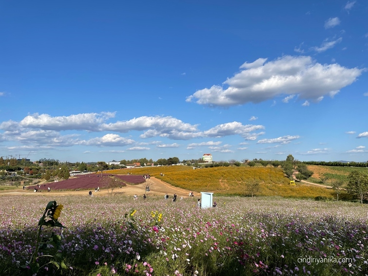 Anseong Farmland
