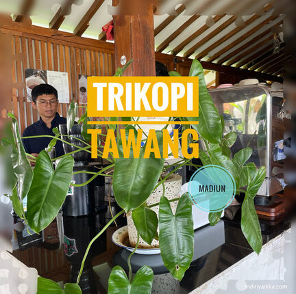 Trikopi