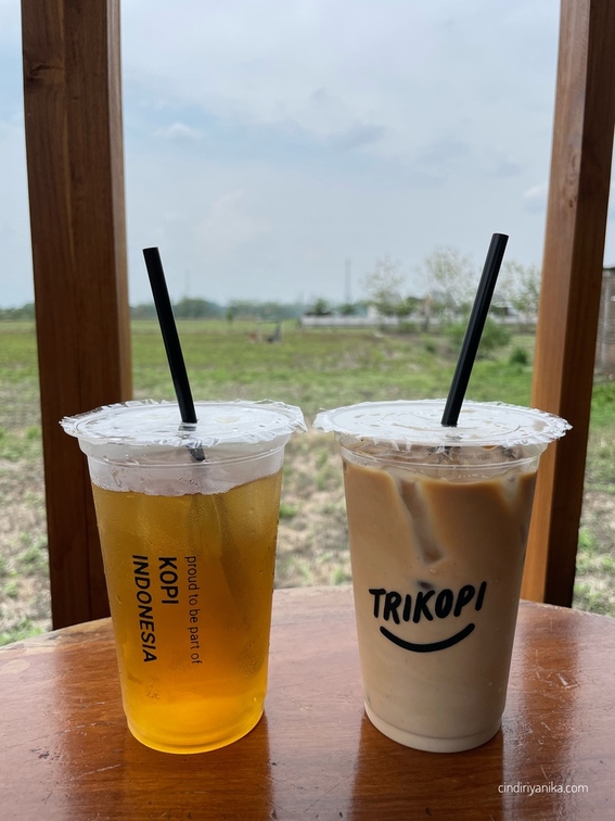 Trikopi