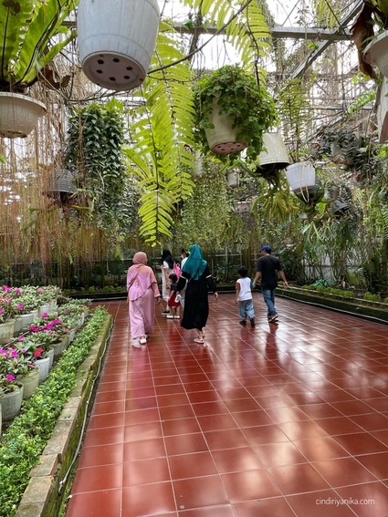 Taman Celosia