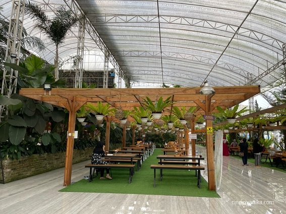 Taman Celosia